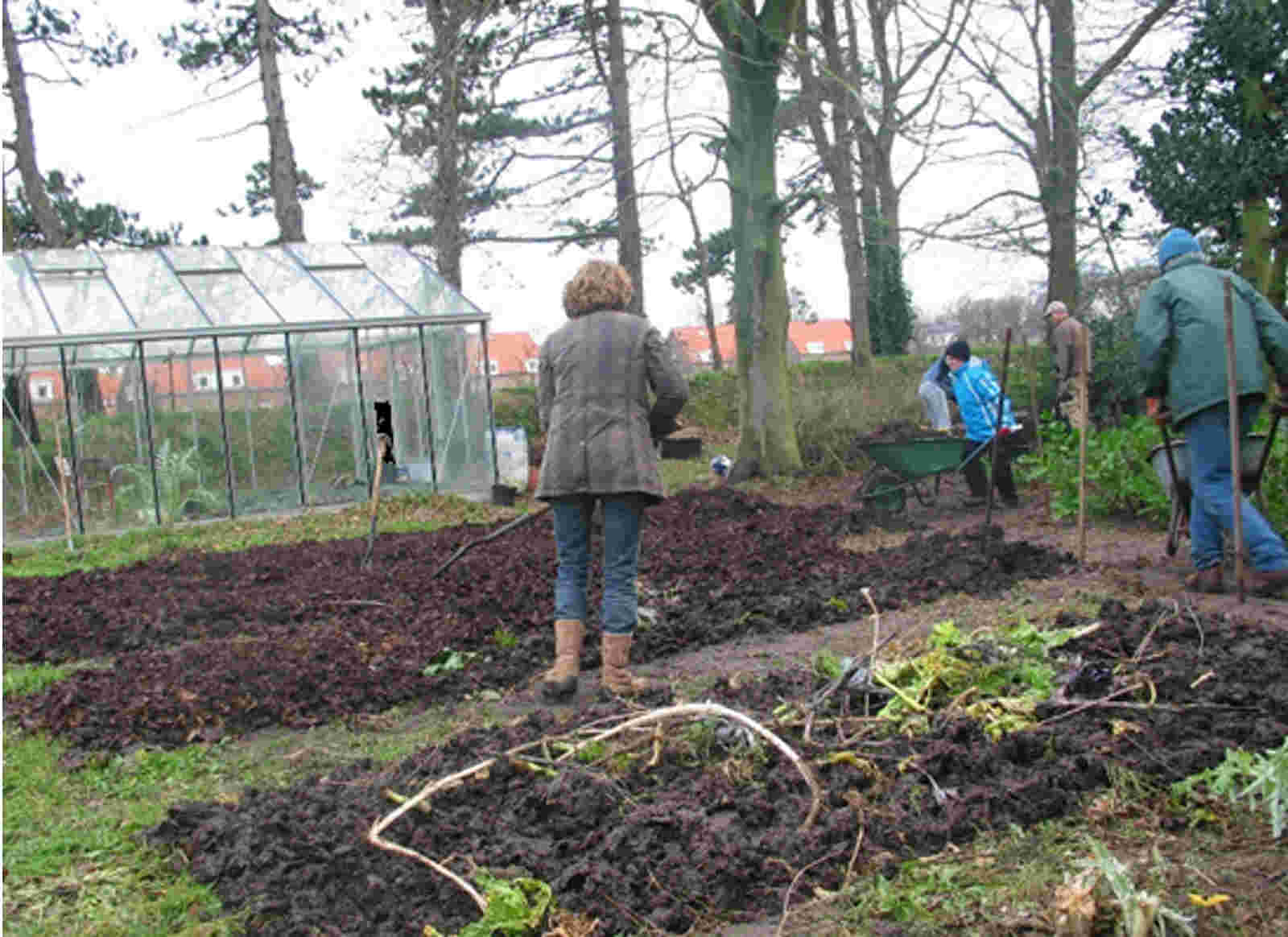 de permacultuur moestuin van de Abdij van Egmond; de aanleg