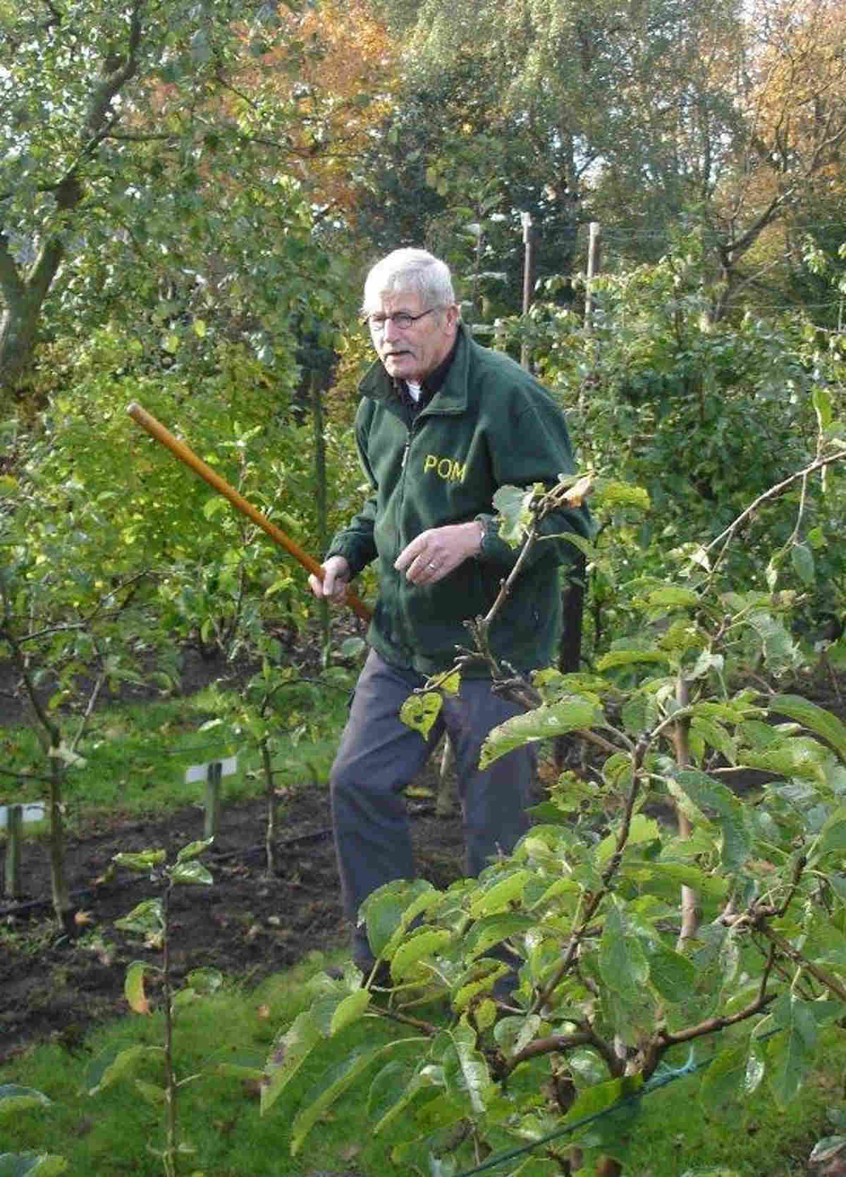 Abdij van Egmond