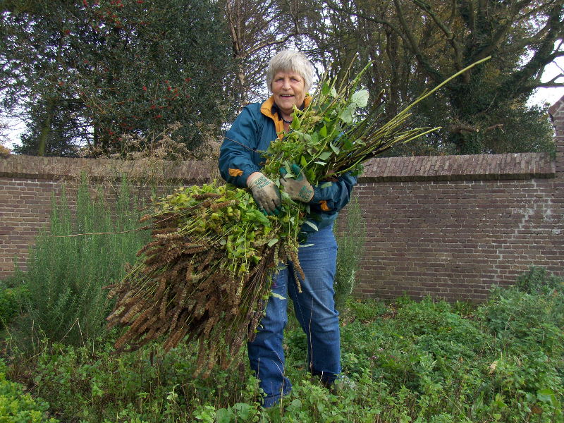 Groenwerkgroep Abdij van Egmond